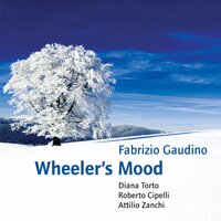 OnaivaS - Fabrizio Gaudino & Diana Torto & Attilio Zanchi & Roberto Cipelli