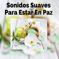 Música Tranquila - Música Instrumental