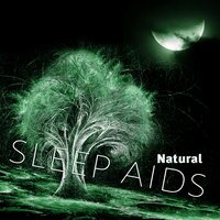 Sleep Music - Natural Sleep Aid Music Zone