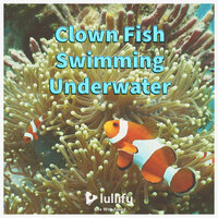 Under the Sea - Lullify