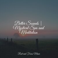By a Campfire - Música Zen Relaxante & Binaural Beats Isochronic Tones Lab & Yoga Namaste