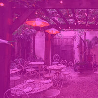 Wicked Backdrops for Self Care - Cool Jazz Lounge