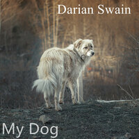 Sunshine - Darian Swain