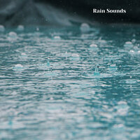 Summer Showers and Thunderstorms, Pt. 3 - Weather and Nature Recordings & The Outdoor Library & Rain Sounds & Nature Sounds