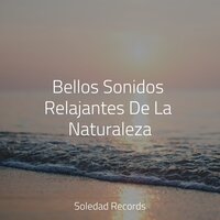Conexión Divina - Academia de Meditação Buddha & Musica Para Meditación Profunda & Relajante
