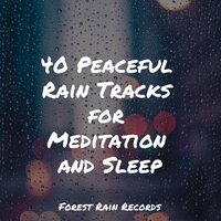 White Noise Rain Umbrella - Sleep Sound of Nature & Ambientalism & Meditation Music Club