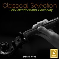 String Symphony No. 8 in D Major, MWV N8: I. Adagio e grave - Allegro - Jörg Faerber & Württemberg Chamber Orchestra & Феликс Мендельсон