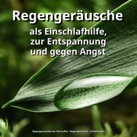 Regengeräusch zur Beruhigung - Regengeräusche & Schlafmusik & Regengeräusche von Piet Kufler