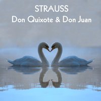Don Quixote: Variation X, Op. 35: No. 13, The Defeat of Don Quixote by the Knight of the White Moon - Chicago Symphony Orchestra & Fritz Reiner & Рихард Штраус