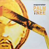 Every Day I Fall Apart - Superstar