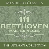 No. 1 in C Major - Bamberg Philharmonic Orchestra & Alexander von Pitamic & Ludwig van Beethoven