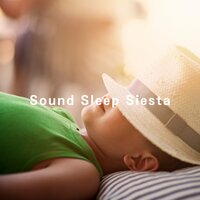 Cascades of Soft Echoes - Relaxing Bgm Project