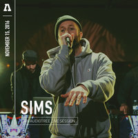 Icarus - Sims