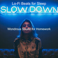 Wondrous Sound for Homework - Lo-fi Beats for Sleep