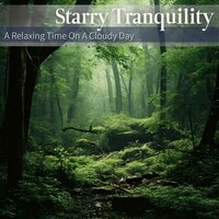Viva Espresso - Starry Tranquility