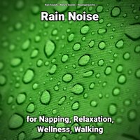 Rain Noise for Napping and Relaxation Pt. 80 - Nature Sounds & Rain Sounds & Regengeräusche