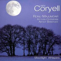 Song of the Swan - Larry Coryell