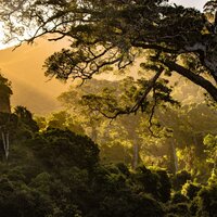Nirvana - Nature Sound Series & Natural Sound Makers & Massage Therapy Music