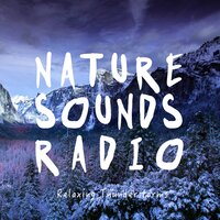 Thunderstorm: Deep Sleep Storm - Nature Sounds Radio