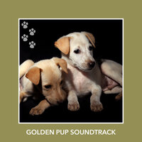 Hopeful Meditation Mornings - Dog Chill Out Music