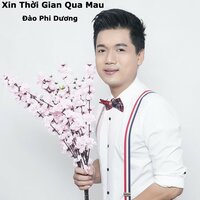 Hồi Tưởng - Đào Phi Dương