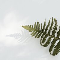 Slumberland - White Noise Sleep Sounds & Baby Sweet Dream & Nature Sounds Nature Music