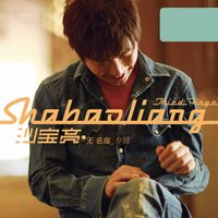 分期 - 沙寶亮