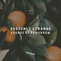 The Professor's Robot - Suddenly Strange
