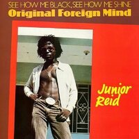 Rub A Dubbing - Junior Reid