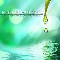 Sound Sleep, Mindfulness Meditation - Naturescapes for Mindfulness Meditation