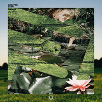 Sabr - Groefer & Eretna