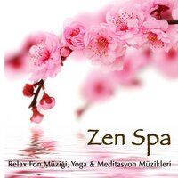 Harmony Background Music - Zen Spa Specialists