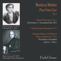 Étude en douze exercices, S.136: 7. Allegretto con molto espressione (E♭ major) - Mordecai Shehori & Ференц Лист