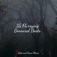 Foggy Musings - Study Concentration & Pro Sound Effects Library & Baby Sleep Music