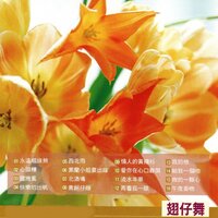 心頭糟 - 鶴鳴大樂隊