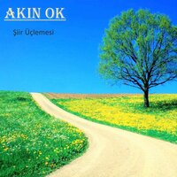 Akın Ok Şiirleri - Akın  Ok