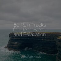 Forest, Evening, Calm, Birds - It's Raining & Deep Relaxation Meditation Academy & Rain Sound Studio