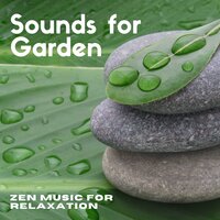 Stop Overthinking - Zen Mindwaves