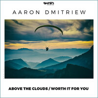 Worth It for You - Aaron Dmitriew
