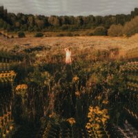 The Moon - Hannah Grace