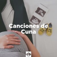 Música para Estudiar - Gil Carioca