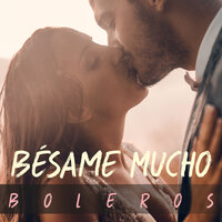 Bonita - Vicky