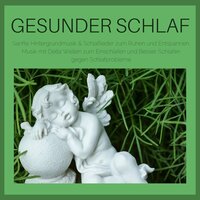 Meditation Lernen gegen Schlafprobleme - Einschlafen Akademie