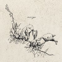 Heem - Meijar