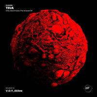 Only God Knows The Answer - Teua & V.O.Y