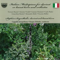 Introduction, Theme and Variations in C Minor: Introduction - Stephan Siegenthaler & Cappella Istropolitana & Джоаккино Россини