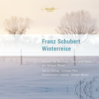 Die Winterreise, Op. 89: Die Krähe - Vocalconsort Leipzig & Gregor Meyer & Cristian Paix & Daniel Ochoa & Франц Шуберт