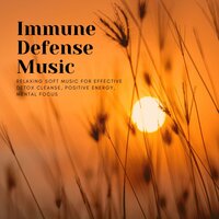 Relaxing Soft Music - Vital Energy Duo