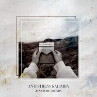Tranquility - Calming Music Ensemble