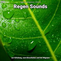 Regen Sounds, pt. 43 - Regensounds & Naturgeräusche & Schlafmusik